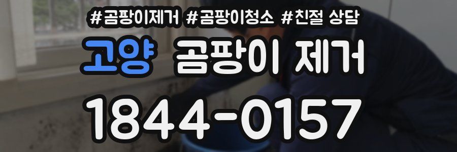고양 곰팡이 제거