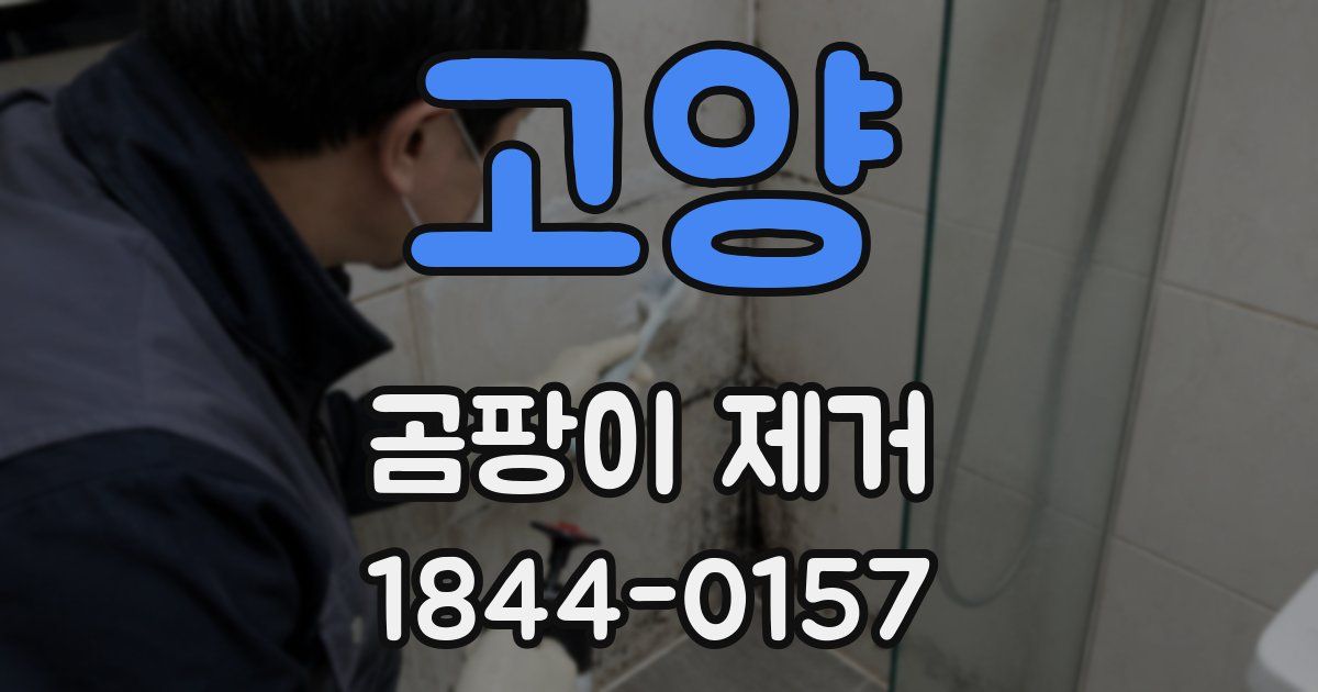고양 곰팡이 제거