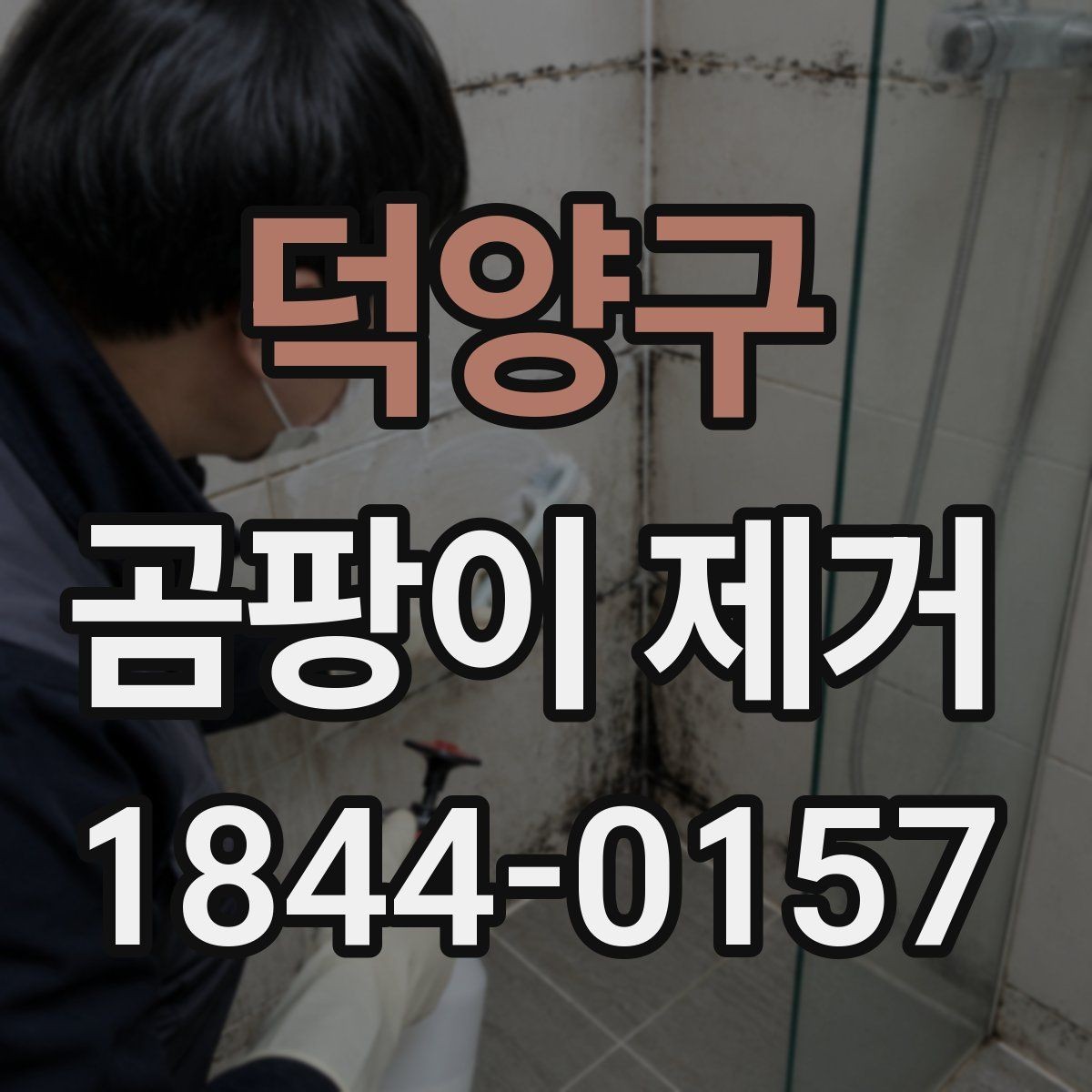 덕양구 곰팡이 제거 어린이 방에서 더 주의할 부분