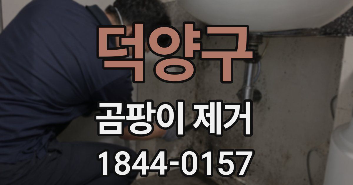 덕양구 곰팡이 제거