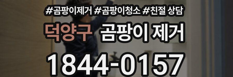 덕양구 곰팡이 제거