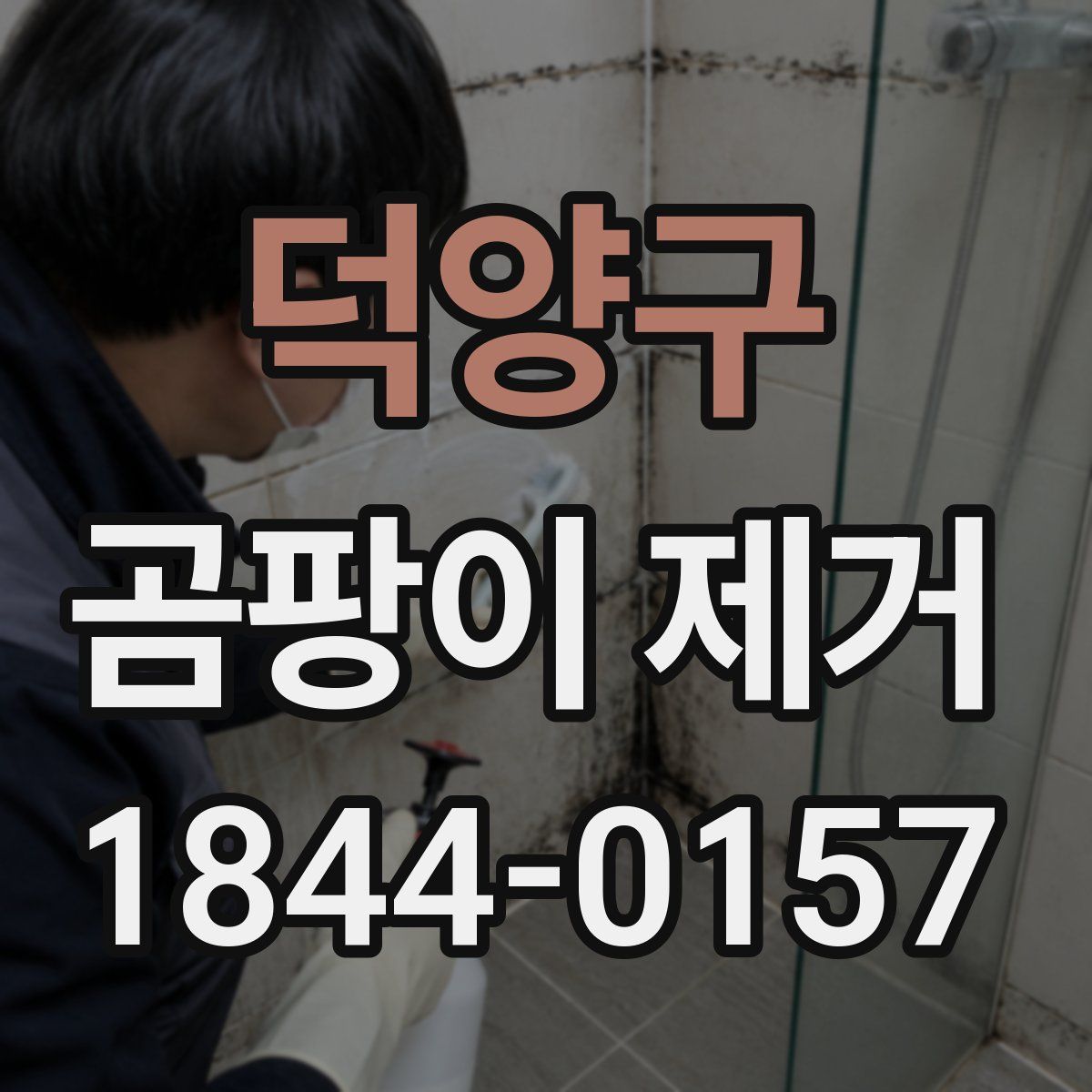 덕양구 곰팡이 제거