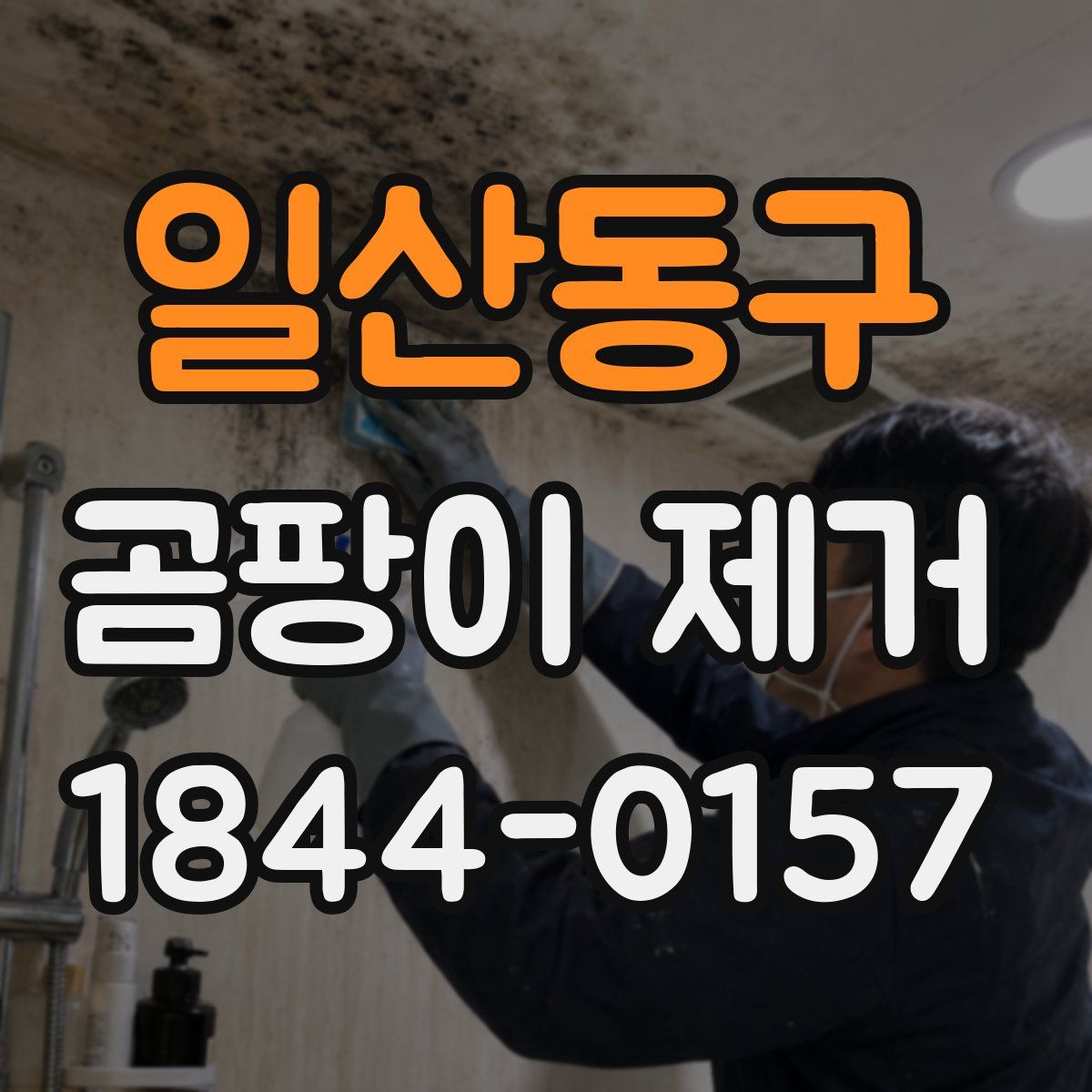 일산동구 곰팡이 제거