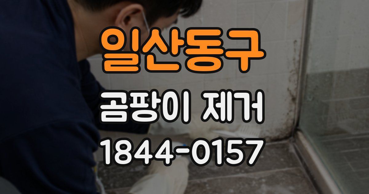 일산동구 곰팡이 제거