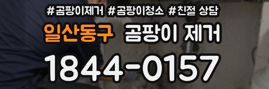 일산동구 곰팡이 제거
