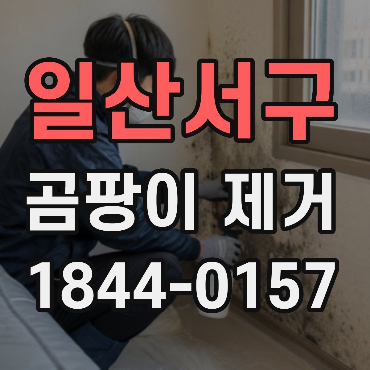 일산서구 곰팡이 제거 집에서 먼저 확인할 점