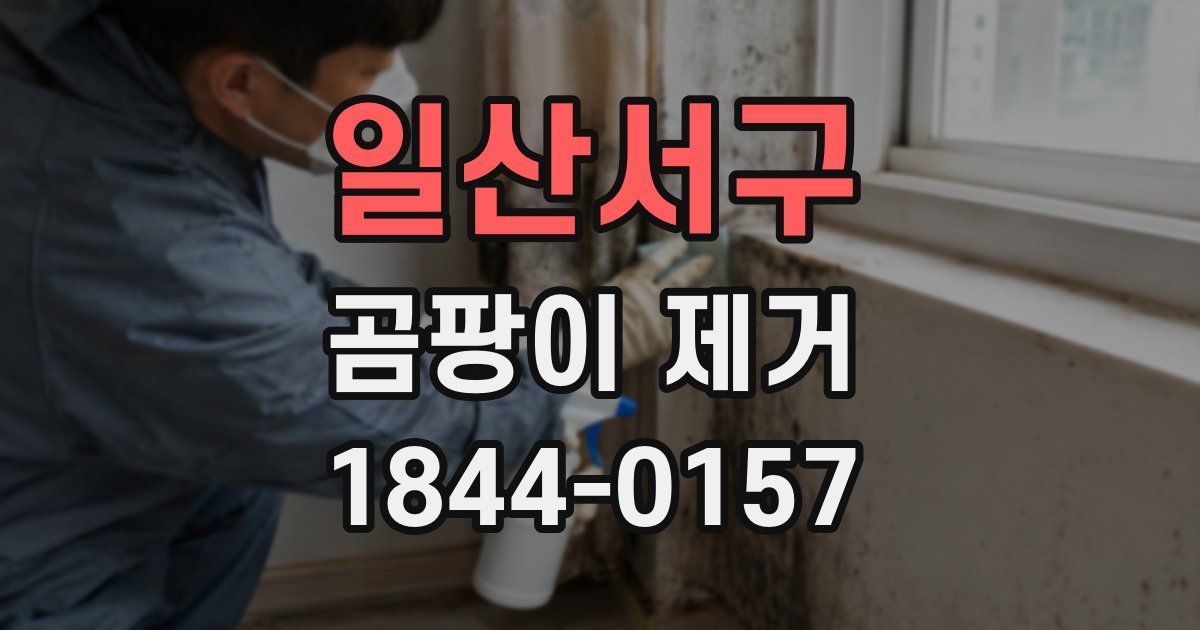 일산서구 곰팡이 제거