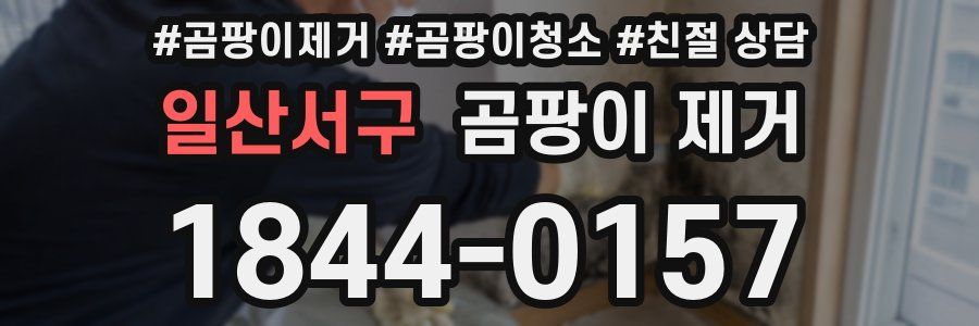 일산서구 곰팡이 제거