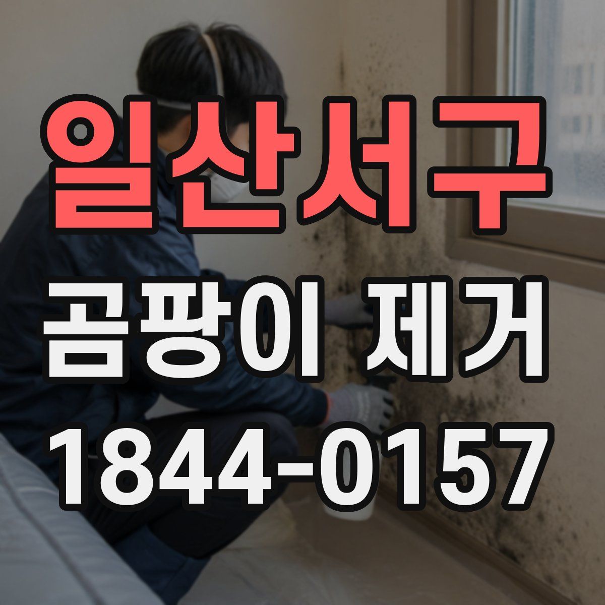 일산서구 곰팡이 제거