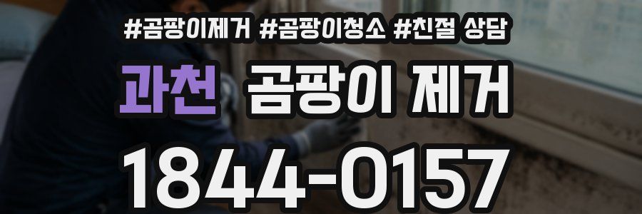 과천 곰팡이 제거