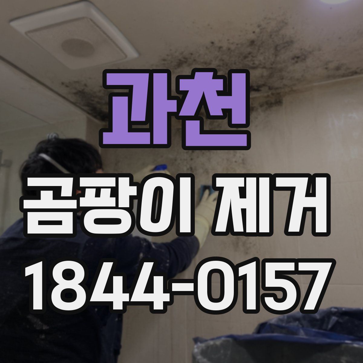 과천 곰팡이 제거