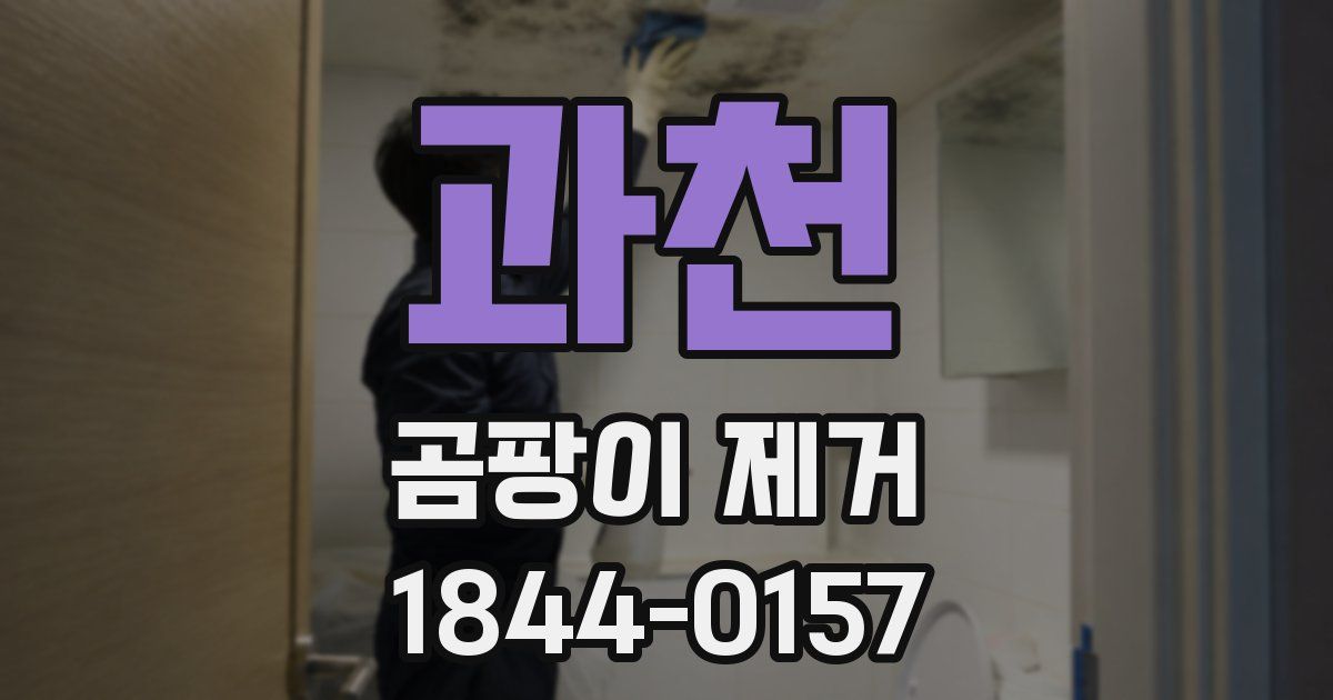 과천 곰팡이 제거