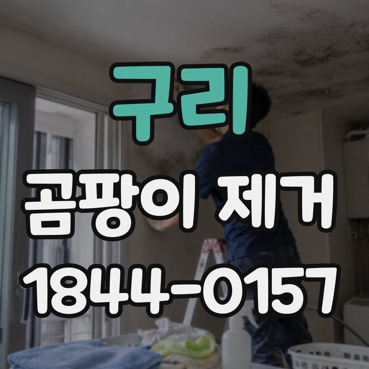 구리 곰팡이 제거