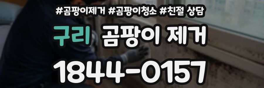 구리 곰팡이 제거