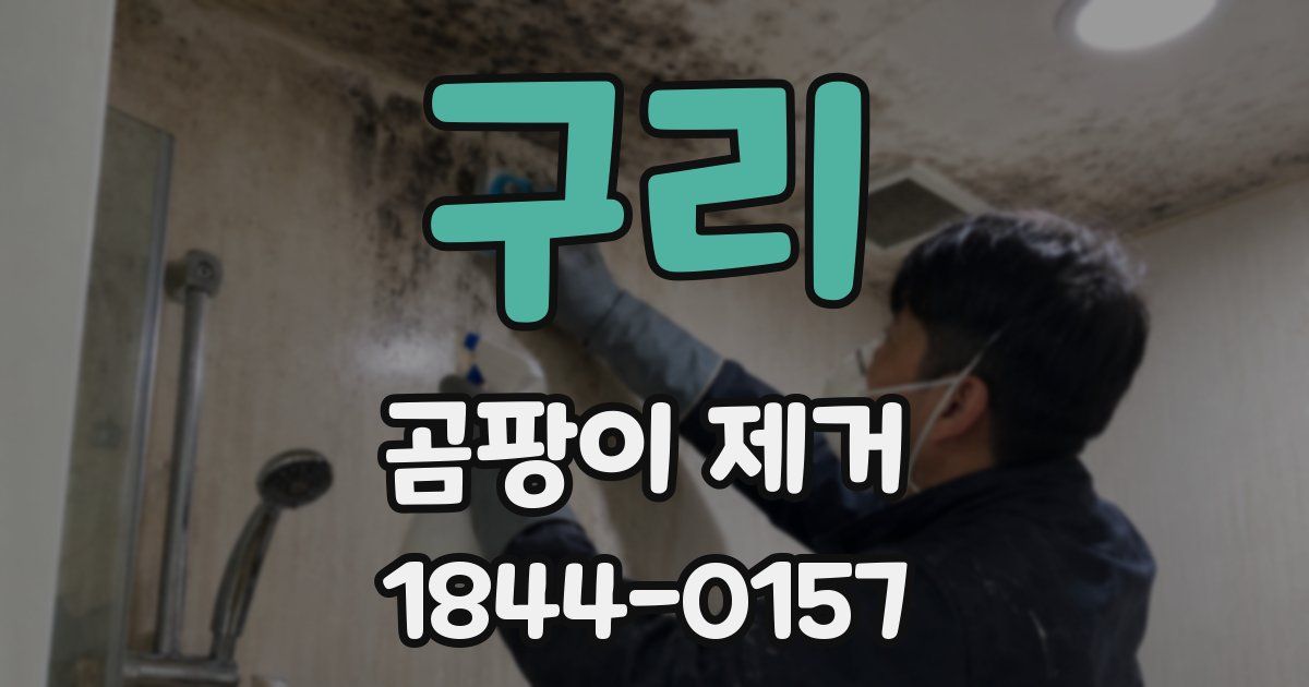 구리 곰팡이 제거