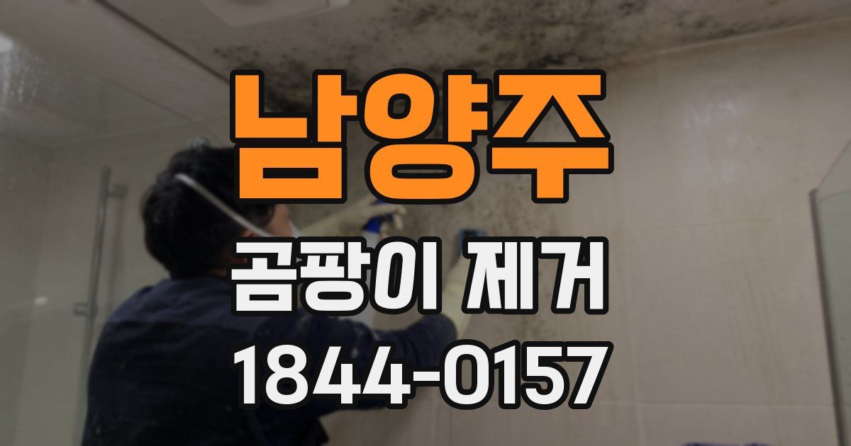 남양주 곰팡이 제거