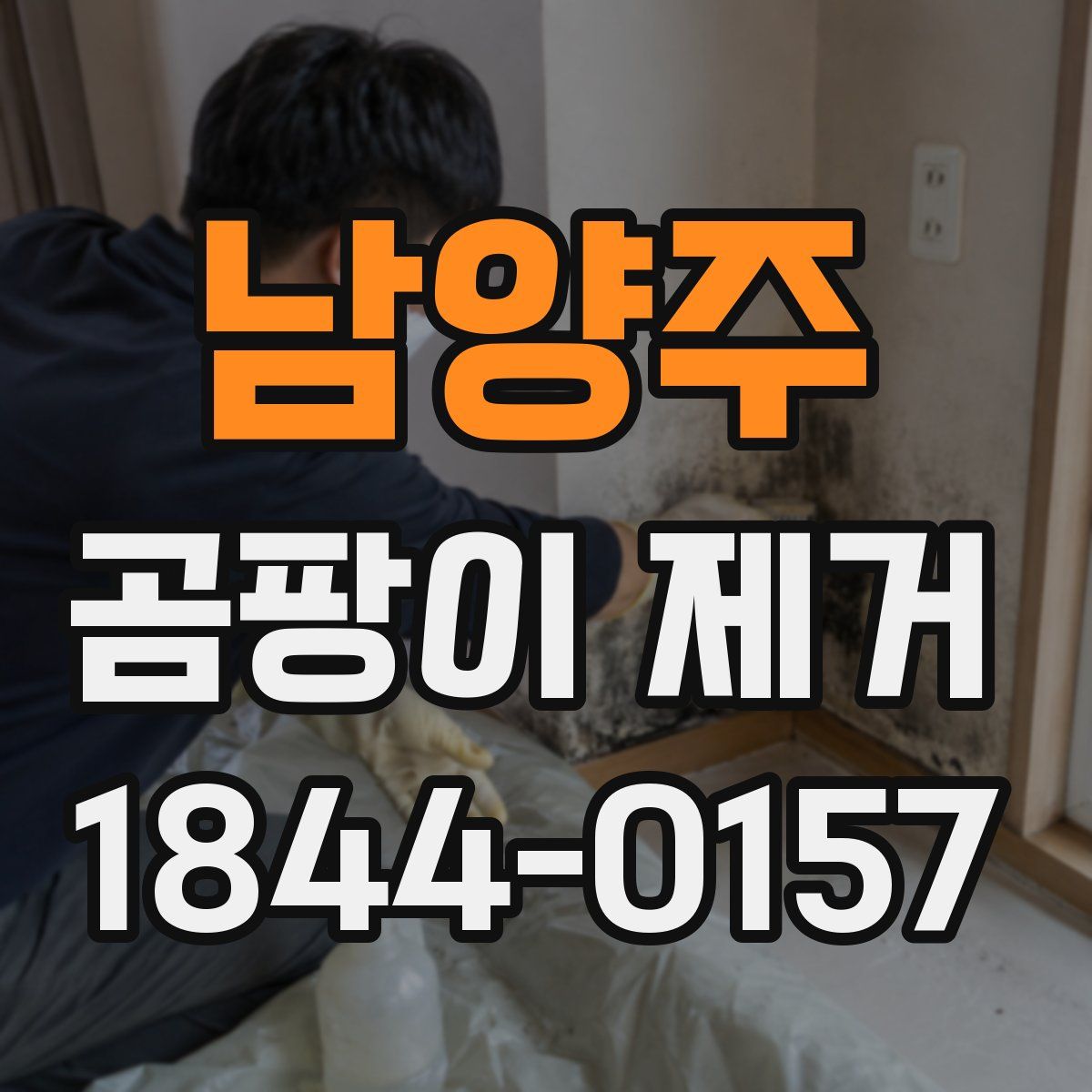 남양주 곰팡이 제거