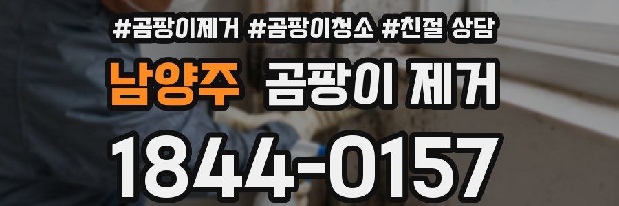 남양주 곰팡이 제거