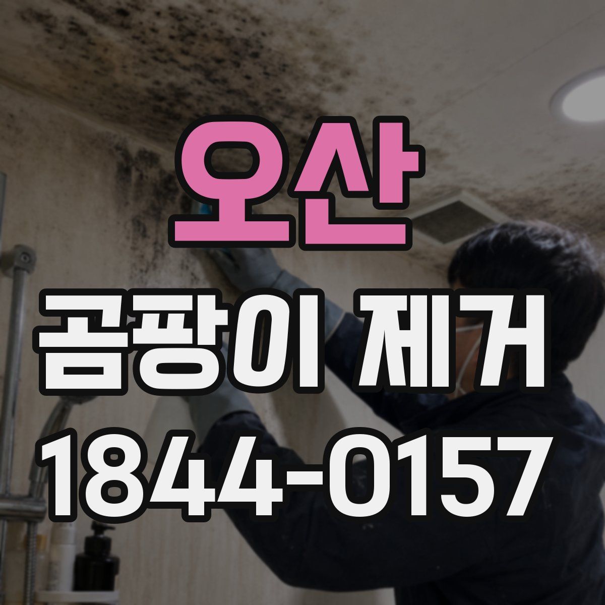 오산 곰팡이 제거