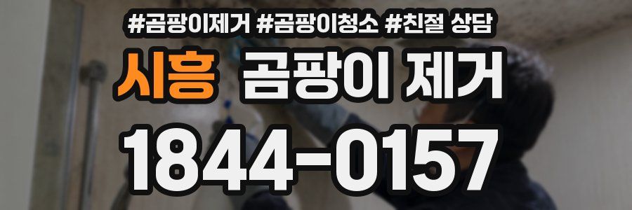 시흥 곰팡이 제거