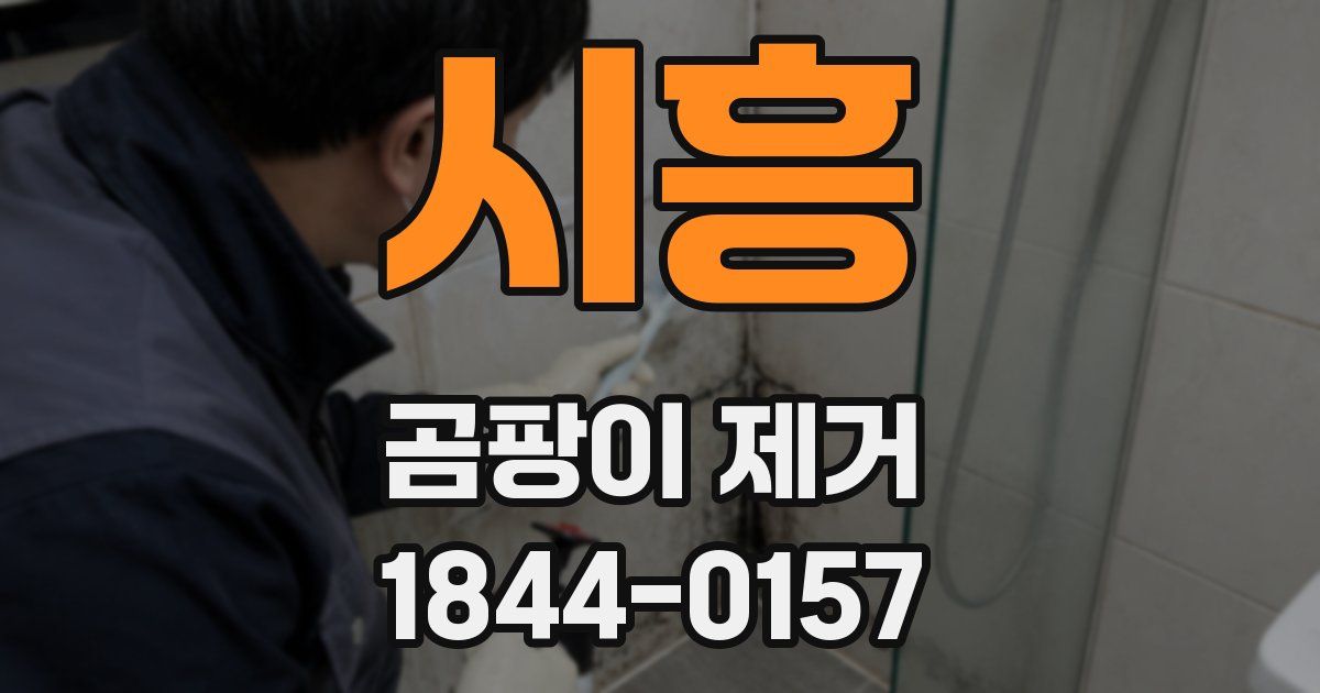 시흥 곰팡이 제거