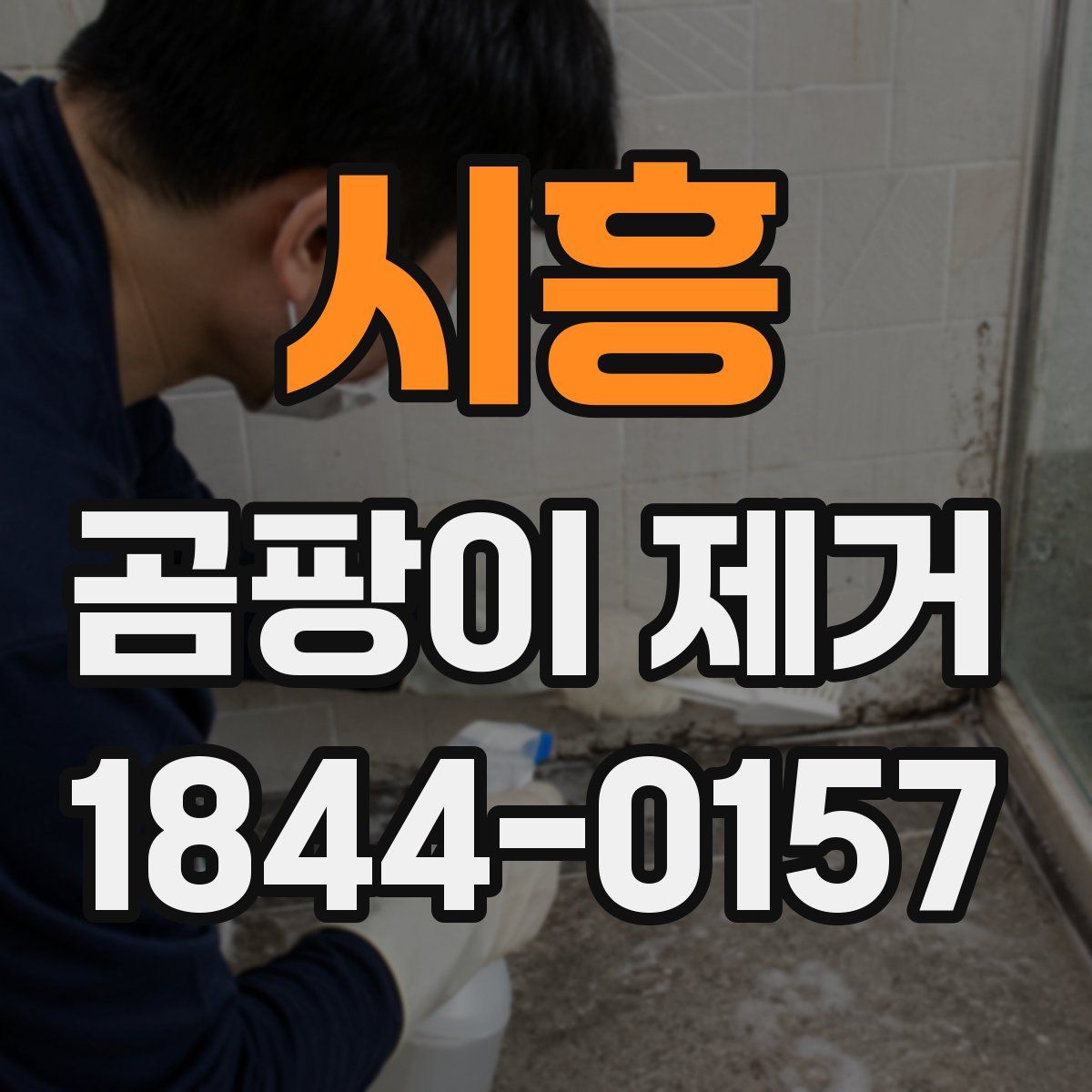 시흥 곰팡이 제거