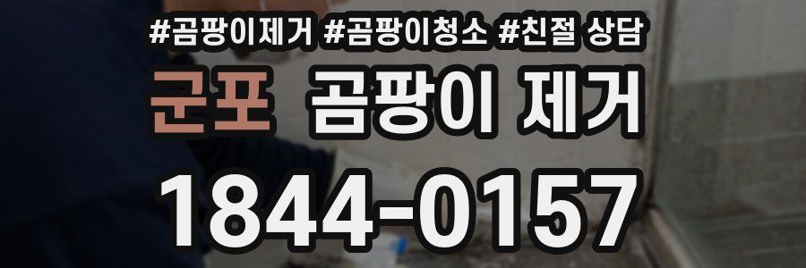 군포 곰팡이 제거