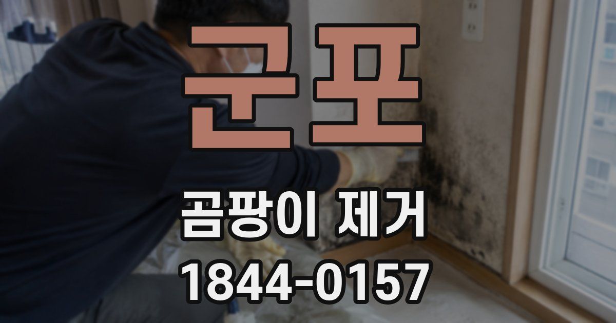 군포 곰팡이 제거