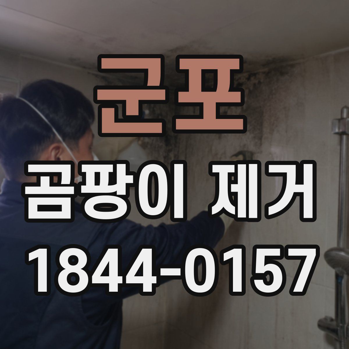 군포 곰팡이 제거