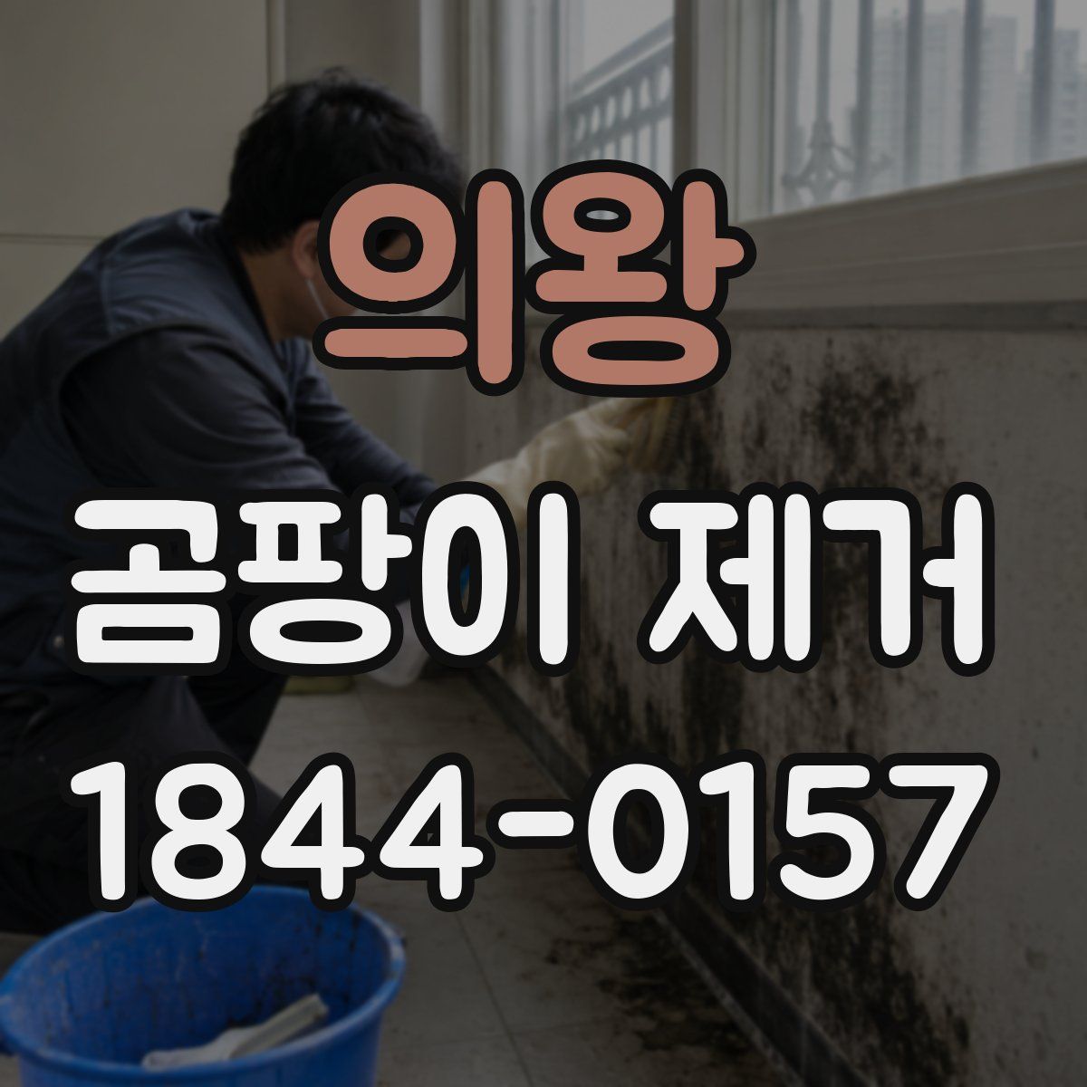 의왕 곰팡이 제거