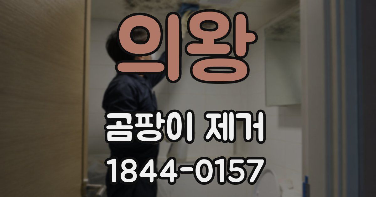 의왕 곰팡이 제거