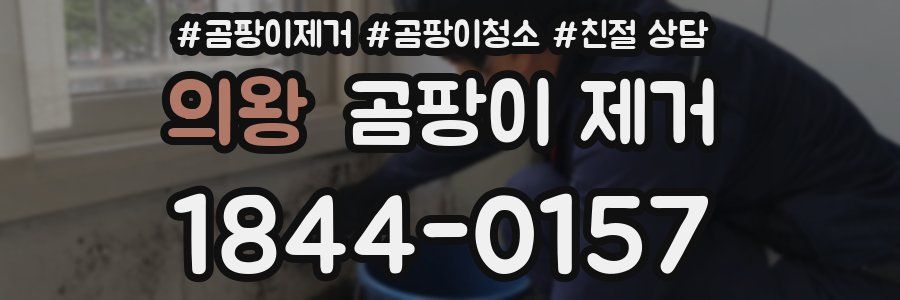 의왕 곰팡이 제거