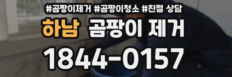 하남 곰팡이 제거