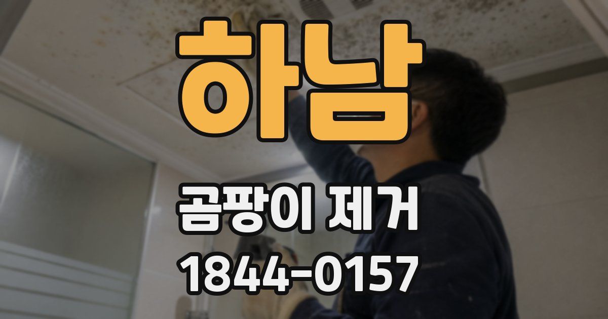 하남 곰팡이 제거