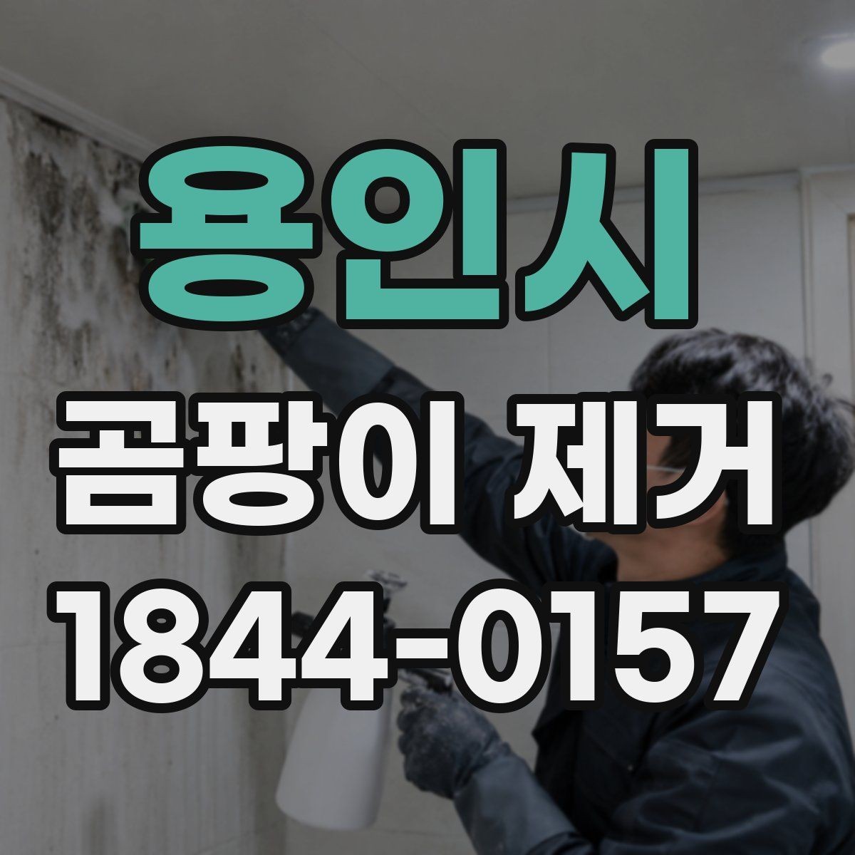 용인시 곰팡이 제거 오염 면적에 따라 달라지는 접근법