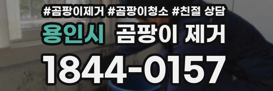 용인시 곰팡이 제거