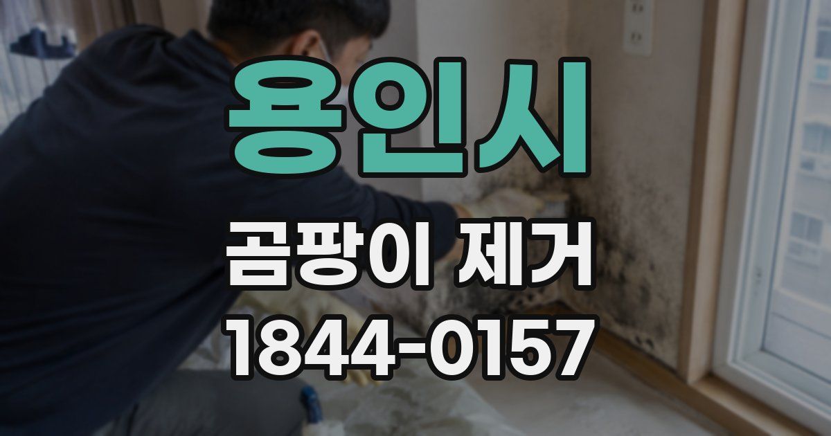 용인시 곰팡이 제거