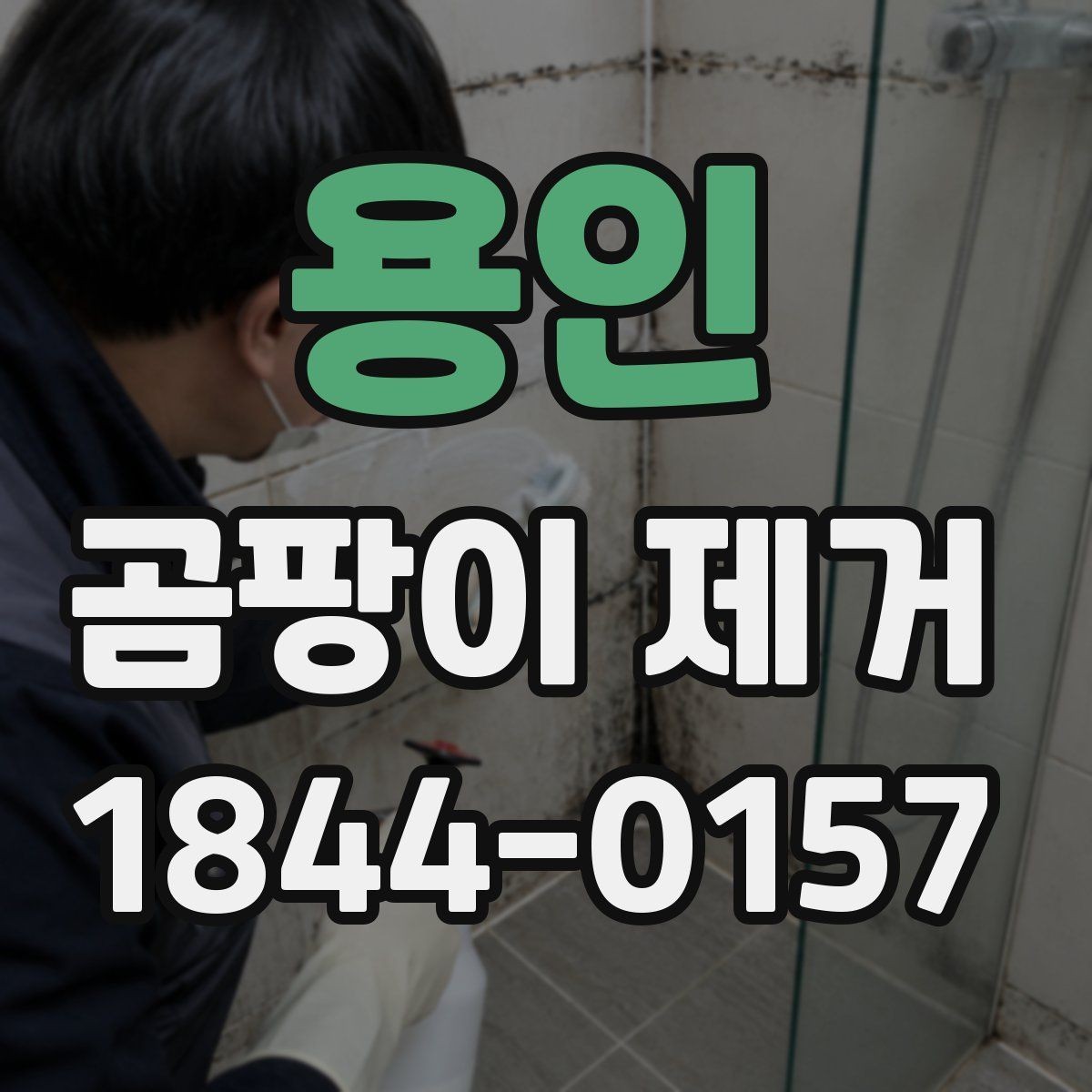 용인 곰팡이 제거 셀프 방법과 전문가 의뢰 기준