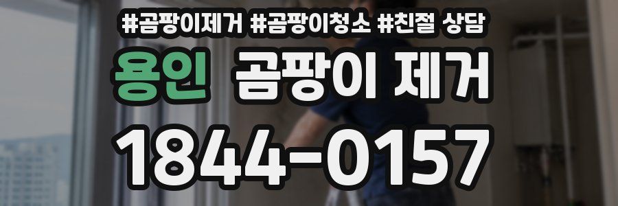 용인 곰팡이 제거