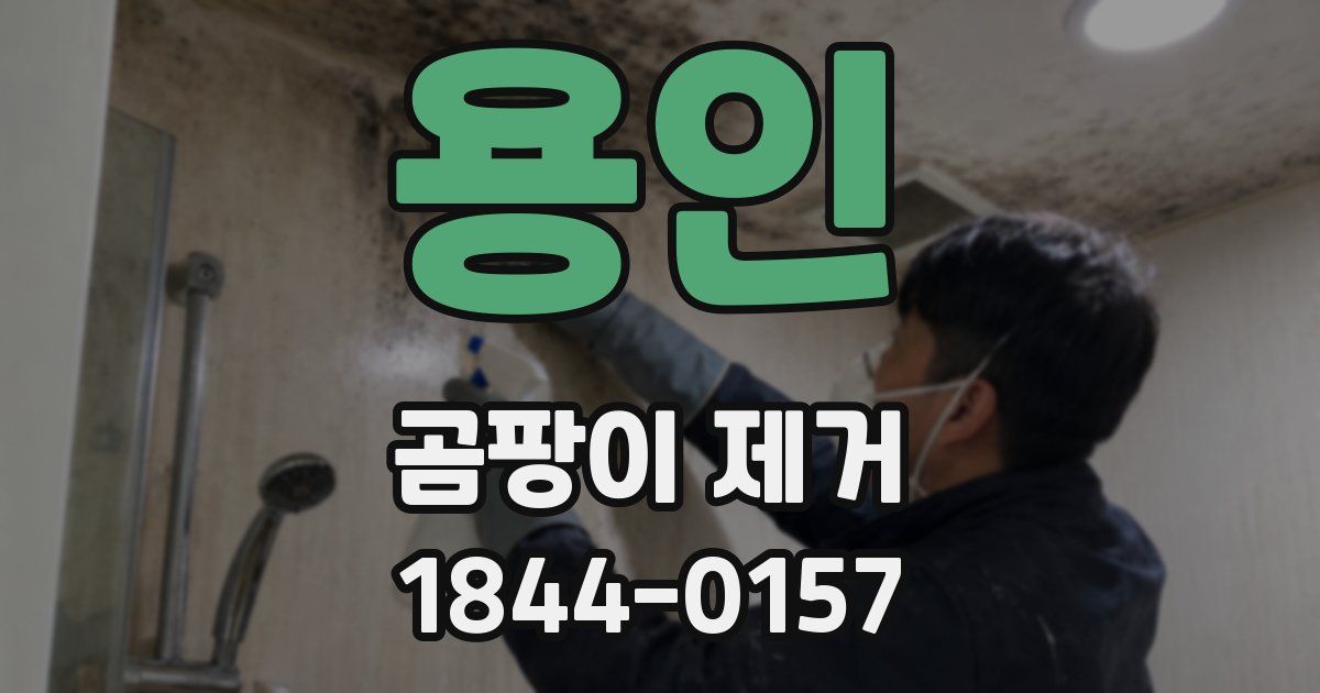 용인 곰팡이 제거
