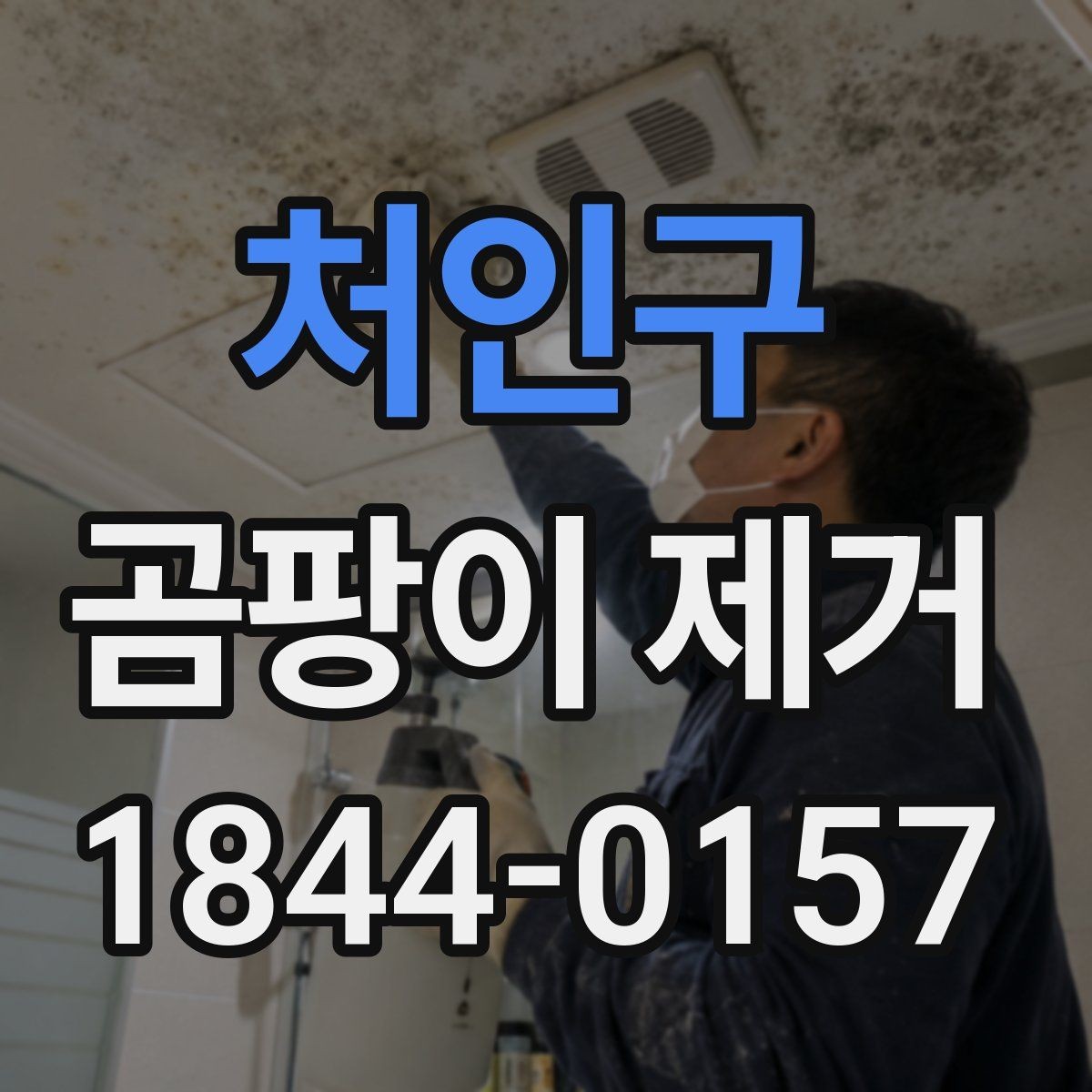 처인구 곰팡이 제거 전후로 달라지는 공간 관리