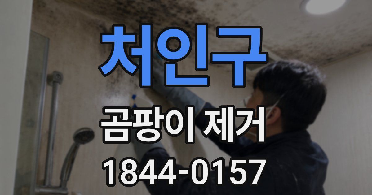 처인구 곰팡이 제거