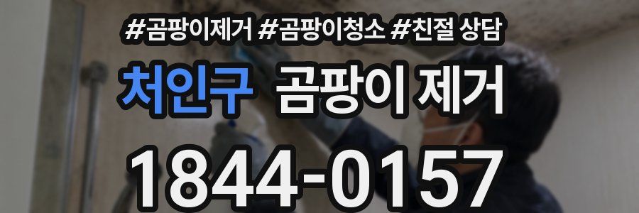 처인구 곰팡이 제거