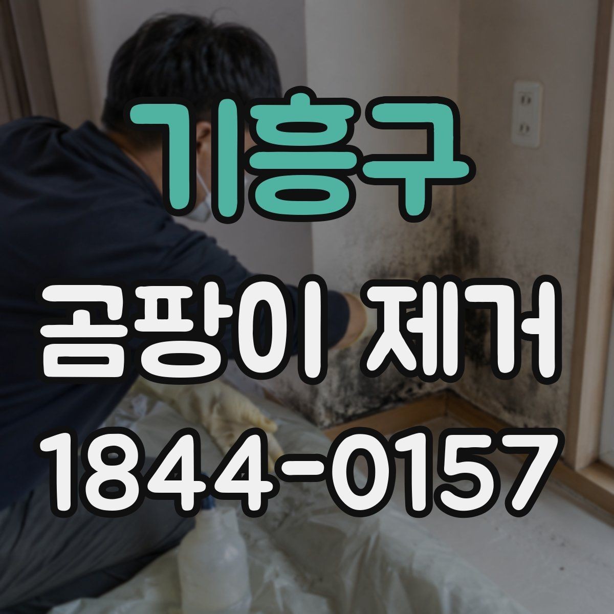 기흥구 곰팡이 제거 재료 선택에 따라 달라지는 결과
