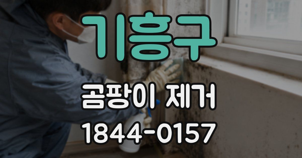 기흥구 곰팡이 제거
