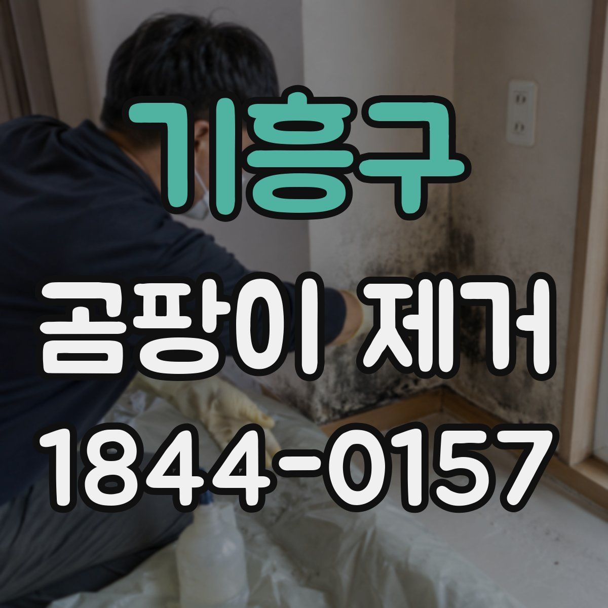 기흥구 곰팡이 제거