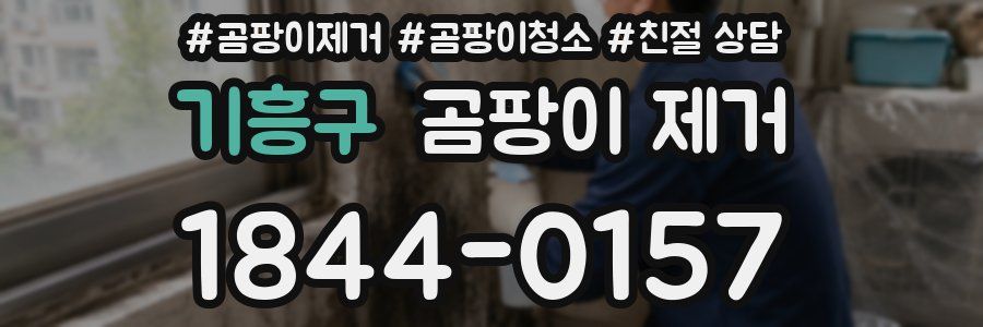 기흥구 곰팡이 제거