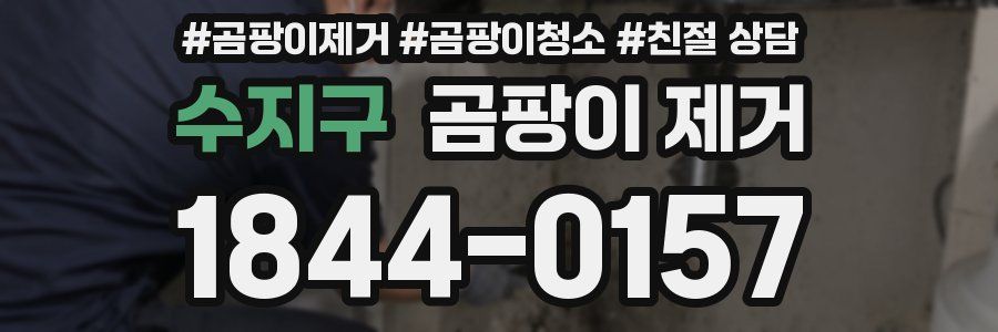 수지구 곰팡이 제거