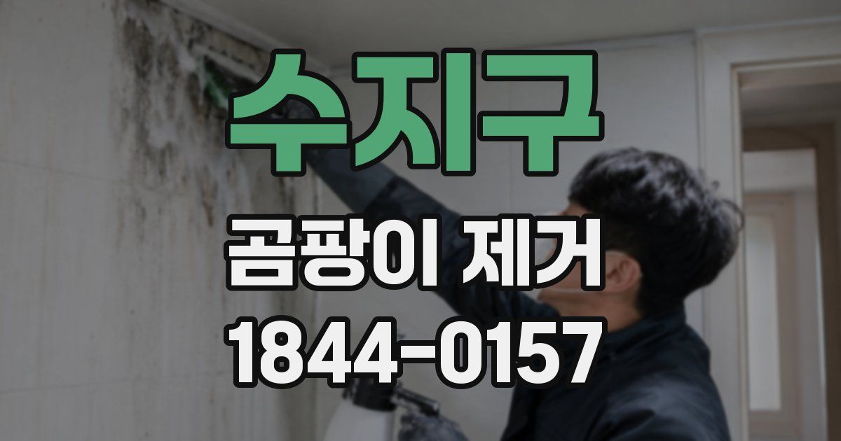 수지구 곰팡이 제거
