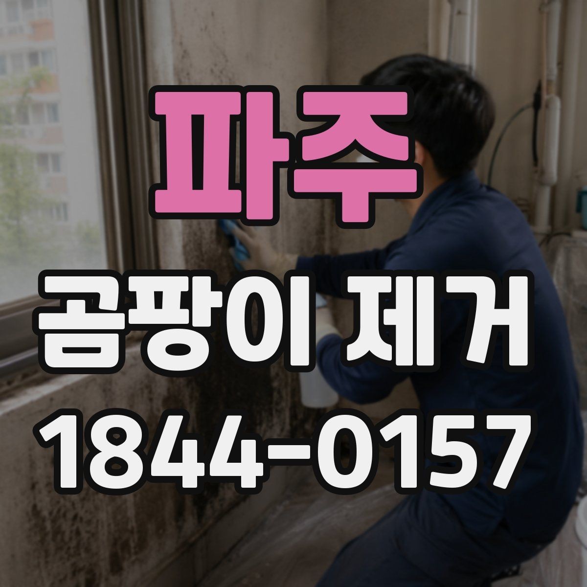 파주 곰팡이 제거 천연세제와 전용약품의 차이